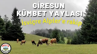 We toured Giresun Kümbet Plateau. Swiss Alps rival. How to go? Turkey's most beautiful plateau.