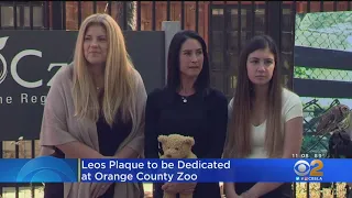 Aiden Leos, Boy Killed In Road Rage Shooting, To Receive Memorial Plaque At Orange County Zoo