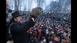 Коли буде весна? Бабак Філ: прогноз(США) Phil groundhog makes his prediction on duration of winter