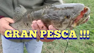 Que pesca!!! en Pesca en agua dulce