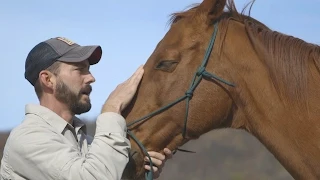 Horses Help Heal Veterans' Invisible Wounds | National Geographic