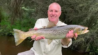 VFA Talk Wild Trout 2020 - Thu 26 Nov - Tarago with David Kramer