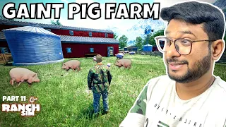 PIG FARM STARTED FINALLY + BIG BARN STARTED | RANCH SIMULATOR GAMEPLAY #11