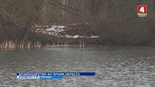 БРАКОНЬЕРСТВО ВО ВРЕМЯ НЕРЕСТА