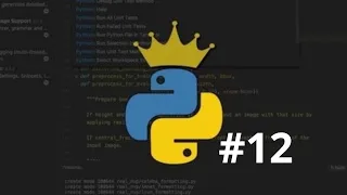 Царский Python | Урок 12: Цикл while (1) | Уроки по Python для новичков