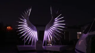 Lighting angel wings for wedding stage photoshoot