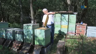 A méhészetről Papp Gyulával