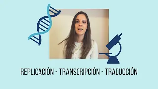 Replicación, transcripción y traducción. Genética molecular. 4° ESO.