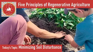 5 Principles of Regenerative Agriculture. This Week's Focus: Minimize Soil Disruption