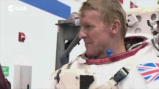 Tim Peake mission overview