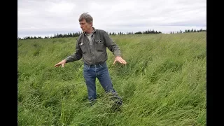 Mob grazing, cover crops and soil health--it's all connected