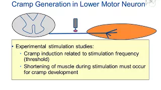 Muscle Cramps in ALS