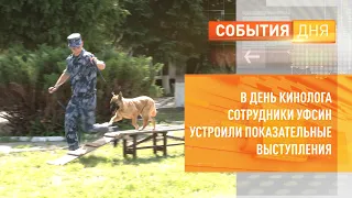 В День кинолога сотрудники УФСИН устроили показательные выступления