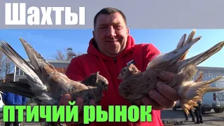 Птичий рынок. Шахты. Часть 2. [03.04.2022]