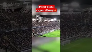 🇺🇦🇵🇱 Слава Україні! «Руска к*рва» на трибунах стадіону Легії | «Шахтар» — «Реал»