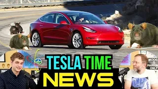 Tesla Time News - Tesla Model 3: Last Bet the Company... and Rats