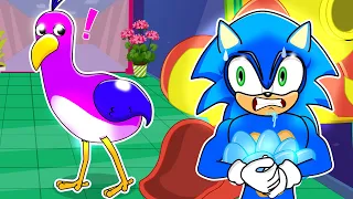 Sonic vs Garten of Banban - OPILA BIRD (Amy) is NOT a MONSTER - Sonic The Hedgehog 2 Animation