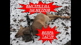 КАК Я ДОБЫЛ КОСУЛЮ НА 360 МЕТРОВ HOW I GOT A ROE DEER FOR 360 METERS