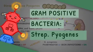 Gram Positive Bacteria: Streptococcus Pyogenes