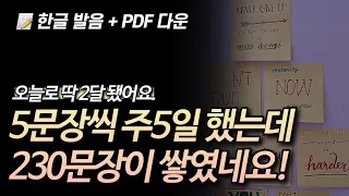 스피킹+리스닝 다 녹아있는 230문장 | 뒹굴신 영어 루틴 1-230