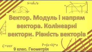 Урок №7. Вектор. Модуль і напрям вектора. Колінеарні вектори. Рівність векторів (9 клас. Геометрія)