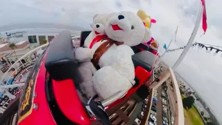 Stuffed Animals go for a Roller Coaster ride!