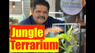 How to Make: Terrarium | Natural Jungle Terrarium | Mayur Dev Aquascaper | Home Garden Ideas 4K