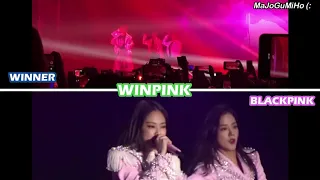 WINPINK - Ddu du Ddu du (cover)