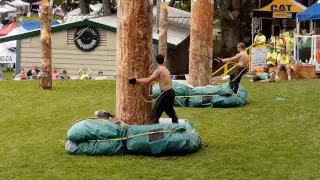 Pole Climbers at the Powell River Loggers Sports July 18th 2016