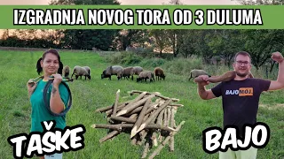 OKOLOKUĆNI POSLOVI #6 - IDEMO U ŠUMU SJEĆI KOLJE I PRAVIMO NOVI TOR ZA OVCE!!