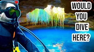 Scuba Diving Certification in Caves (DEVILS DEN and BLUE GROTTO)