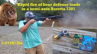 Brenneke Black Magic slugs in a Beretta 1301 tactical shotgun (bear defense rapid fire)