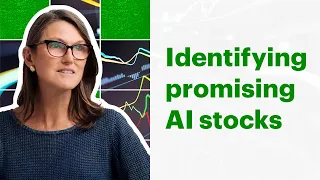 ARK Invest's Cathie Wood on spotting AI stock opportunities
