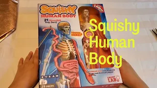 Squishy human body, great for kids science fun | Learning about human organs | Toy Review