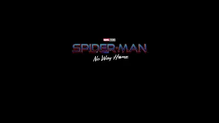 SPIDERMAN:NO WAY HOME || INTRO SAM RAIMI STYLE  (FAN MADE)