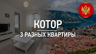 Недвижимость в Черногории. Обзор разных квартир в Которе!