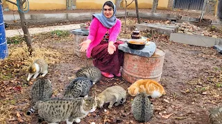 Iran village life vlog: Mix of Iran village cooking | Iran village life