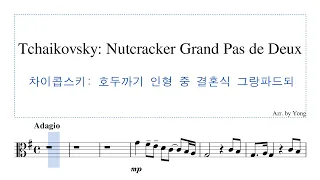 차이콥스키: 호두까기 인형 중 결혼식 그랑파드되 비올라 편곡 Tchaikovsky: Nutcracker Grand Pas de Deux for Viola