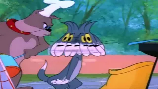 Tom and Jerry Barbecue Brawl - Tom and Jerry Episode 104 [ T & J ]