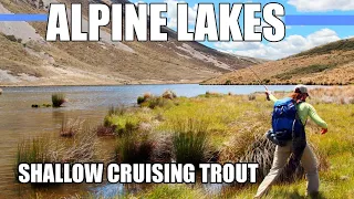 Fly Fishing Shallow Cruising Trout in Alpine Lakes - Brown Trout & Cutthroat Trout in Alpine Lakes