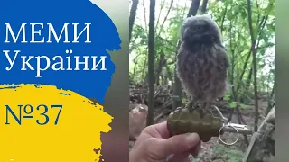 Підбірка цікавих відео з Тік-току №37