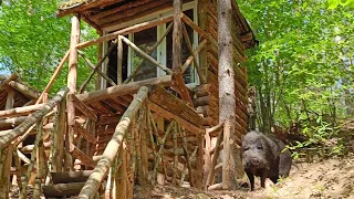 После случайно встречи с человеком, дикий кабан стал дружелюбный | обустройство лесного приюта.