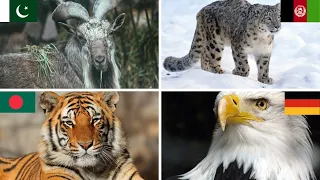 National Animals of The World with Countries Flags