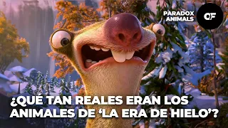 TOP 5 ANIMALES DE LA ERA DE HIELO EN LA VIDA REAL | PARADOX ANIMALS | FROM PROJECT OF