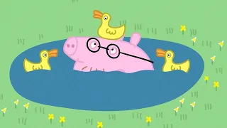 Papá pierde sus gafas! 🦆 | Peppa Pig en Español