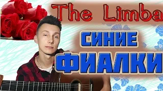 The Limba - Синие фиалки ( кавер на гитаре )