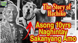 The Story Of Hachiko | Asong Naghintay ng Halos 10 Taon sa Pagbabalik ng Kanyang Amo