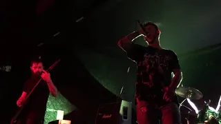 Wasteland : Ceaseless Abomination - From Womb To Waste - Gathering Of The Swarm (Live In Paris)