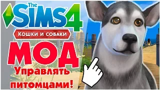 The Sims 4 Кошки & Собаки — Управлять питомцами 🐱🐶- Обзор мода!