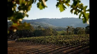 Discover Taltarni Vineyards